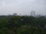 189.JPG