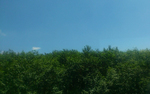 512.jpg